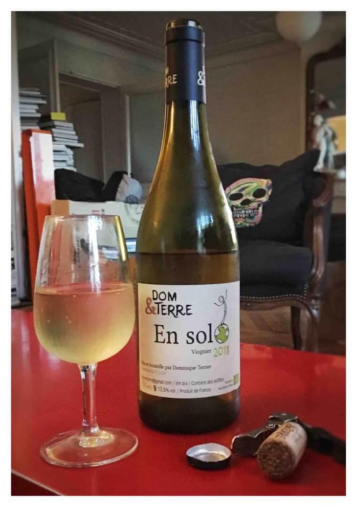 En Solo - Dom&Terre - Dominique Terrier 