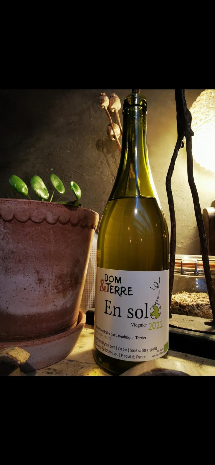 En Solo - Dom&Terre - Dominique Terrier 