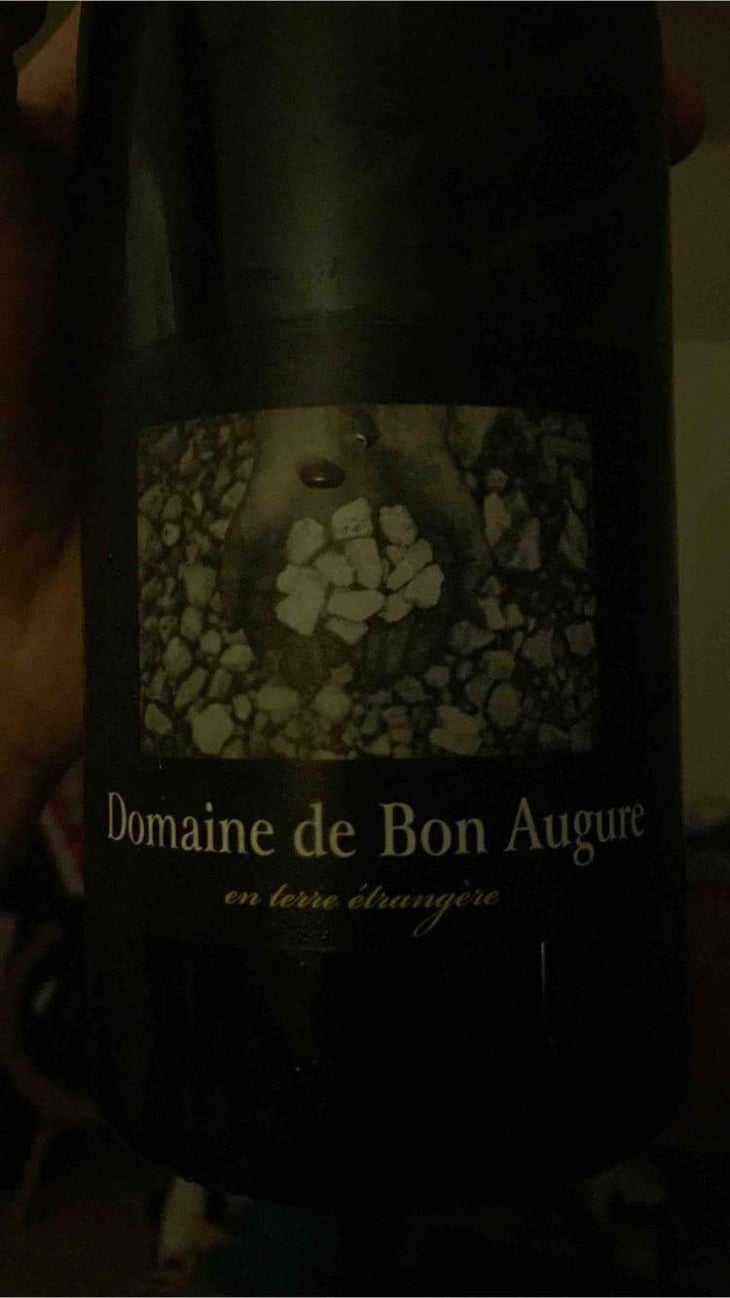En Terre Étrangère - De Bon Augure - Cédric Guy 