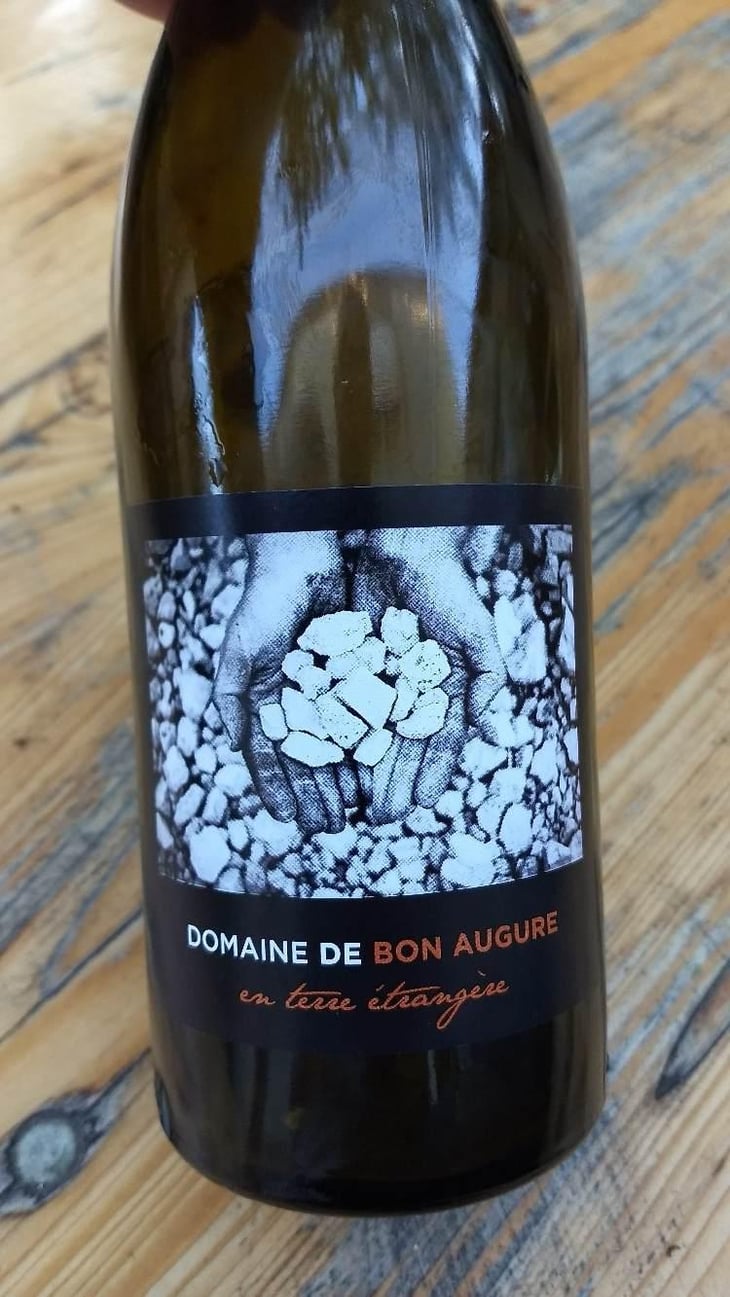 En Terre Étrangère - De Bon Augure - Cédric Guy 