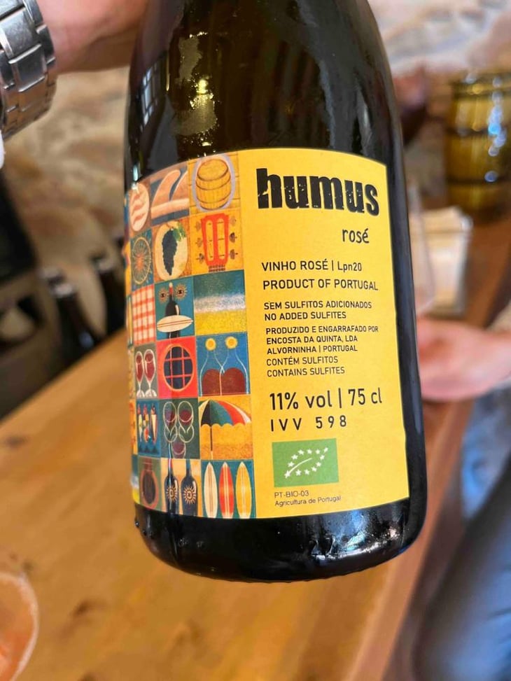 Encosta da Quinta Espumante - Quinta do Paço (Humus) - Rodrigo Filipe 