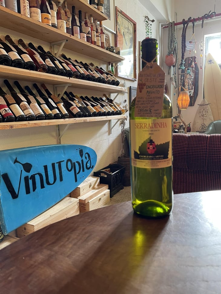 Encruzado e Arinto - Quinta da Serradinha - António Marques da Cruz -2019