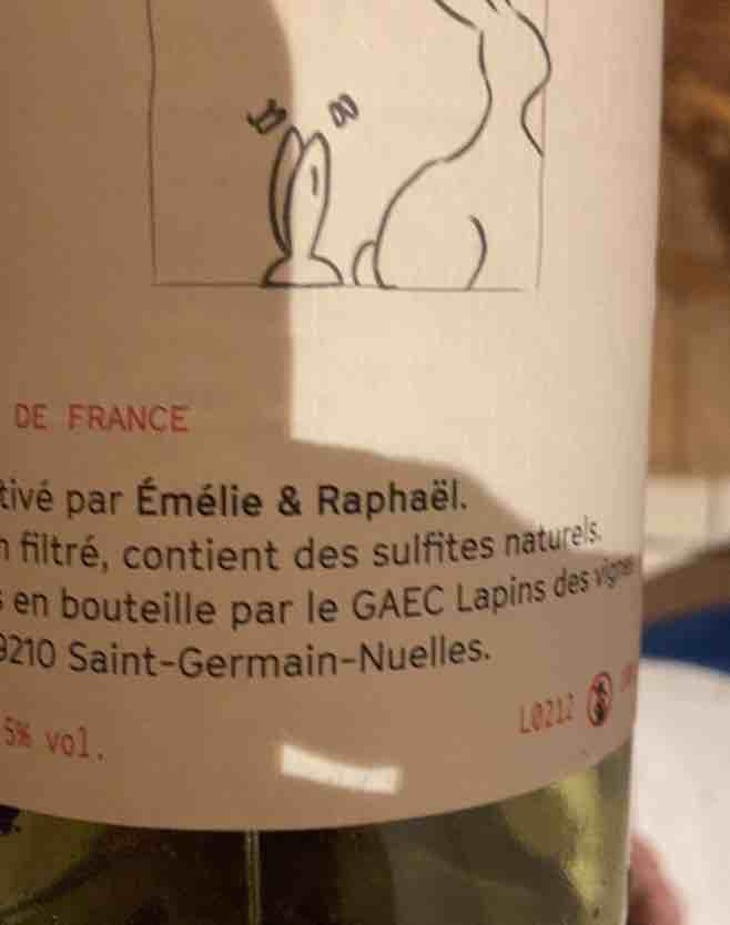 Enculés Lapins - Lapins Des Vignes - Raphaël Beysang & Emélie Hurtubise -2021