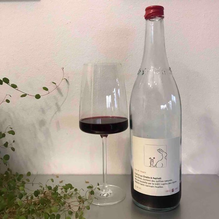 Enculés - Lapins Des Vignes - Raphaël Beysang & Emélie Hurtubise 