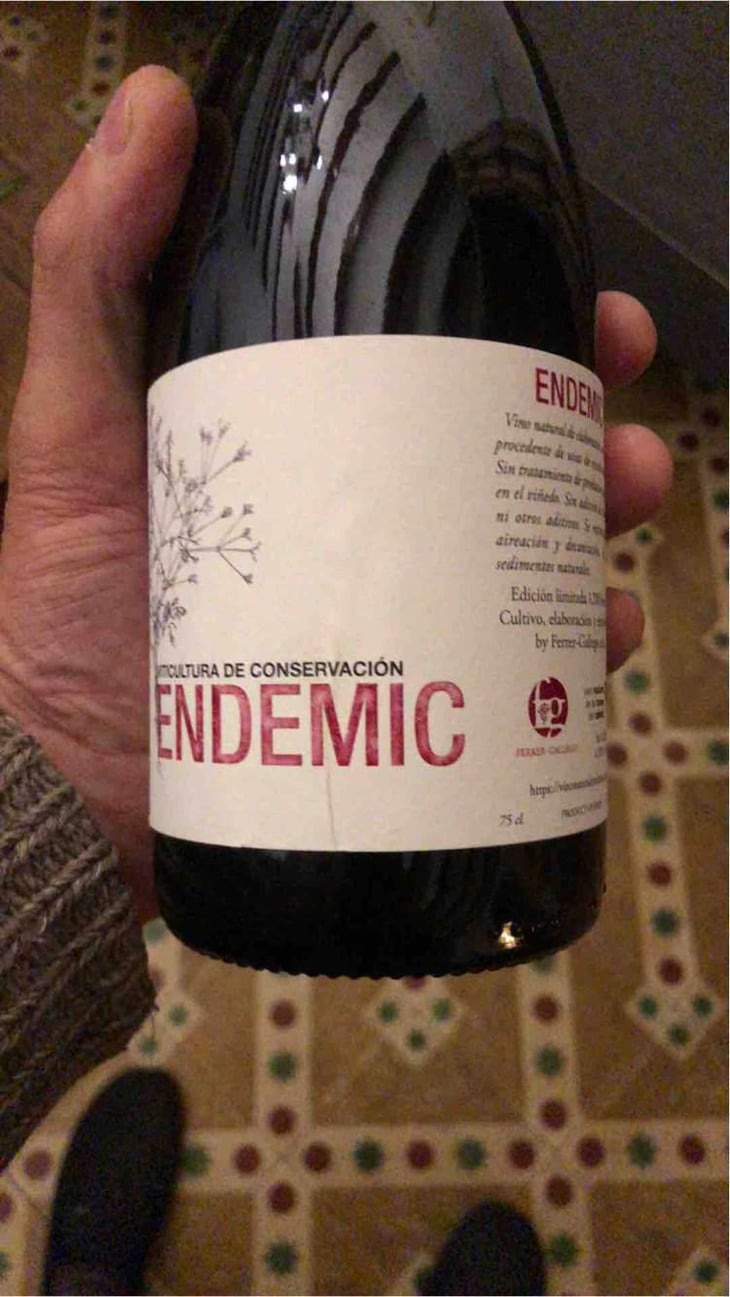 Endemic - Endemic - Miguel Angel, Pablo & Raúl Ferrer-Gallego -2017