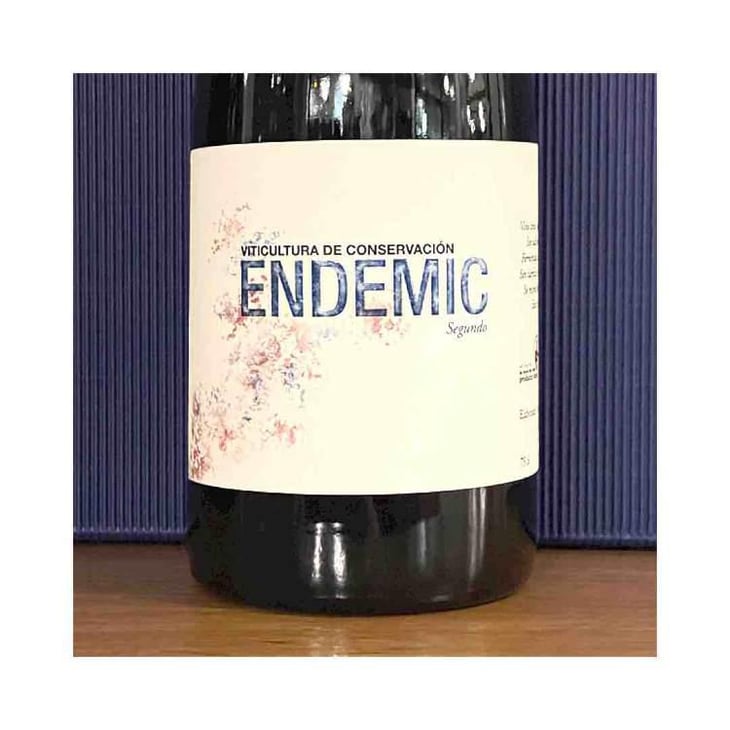 Endemic Segundo - Endemic - Miguel Angel, Pablo & Raúl Ferrer-Gallego -2018