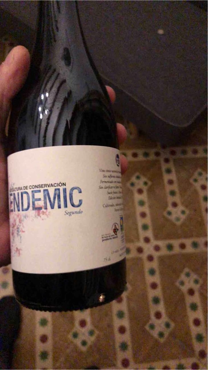 Endemic Segundo - Endemic - Miguel Angel, Pablo & Raúl Ferrer-Gallego -2018