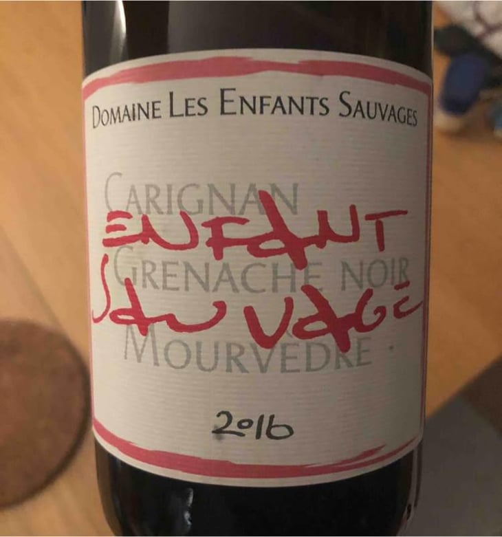 Enfant Sauvage - Les Enfants Sauvages - Nikolaus & Caroline Bantlin 