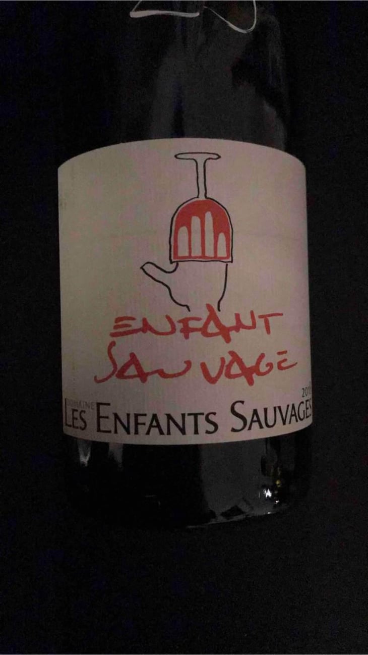 Enfant Sauvage - Les Enfants Sauvages - Nikolaus & Caroline Bantlin 