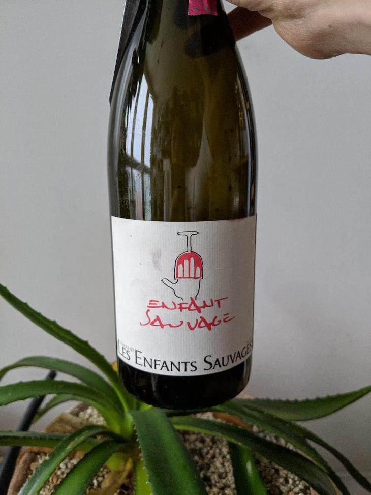 Enfant Sauvage - Les Enfants Sauvages - Nikolaus & Caroline Bantlin 