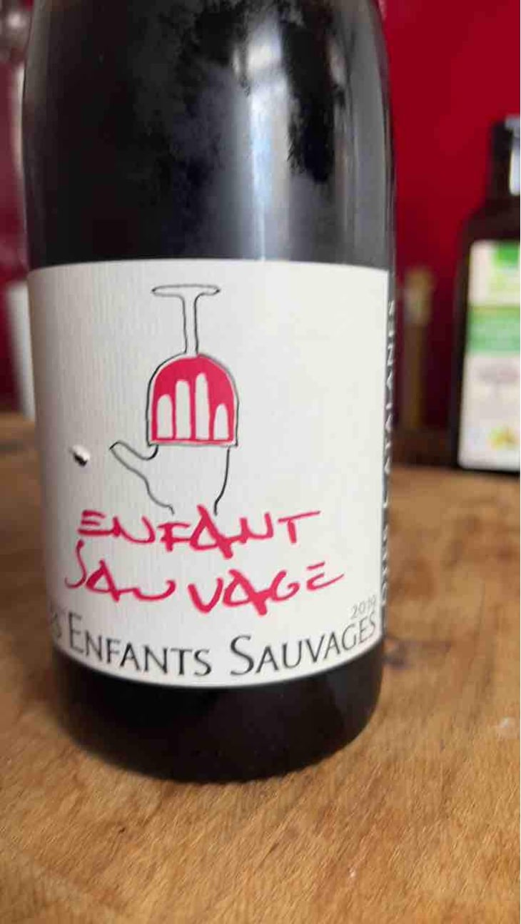 Enfant Sauvage - Les Enfants Sauvages - Nikolaus & Caroline Bantlin 