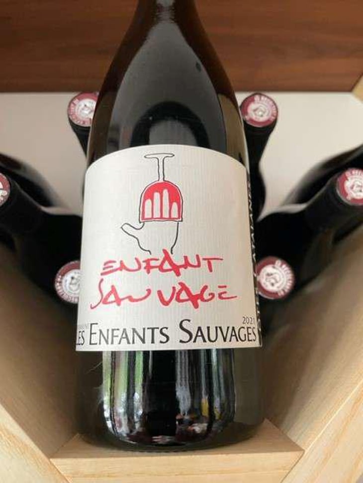Enfant Sauvage - Les Enfants Sauvages - Nikolaus & Caroline Bantlin 