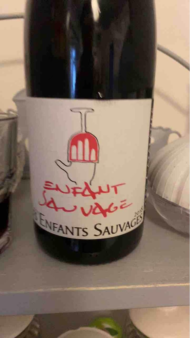 Enfant Sauvage - Les Enfants Sauvages - Nikolaus & Caroline Bantlin 
