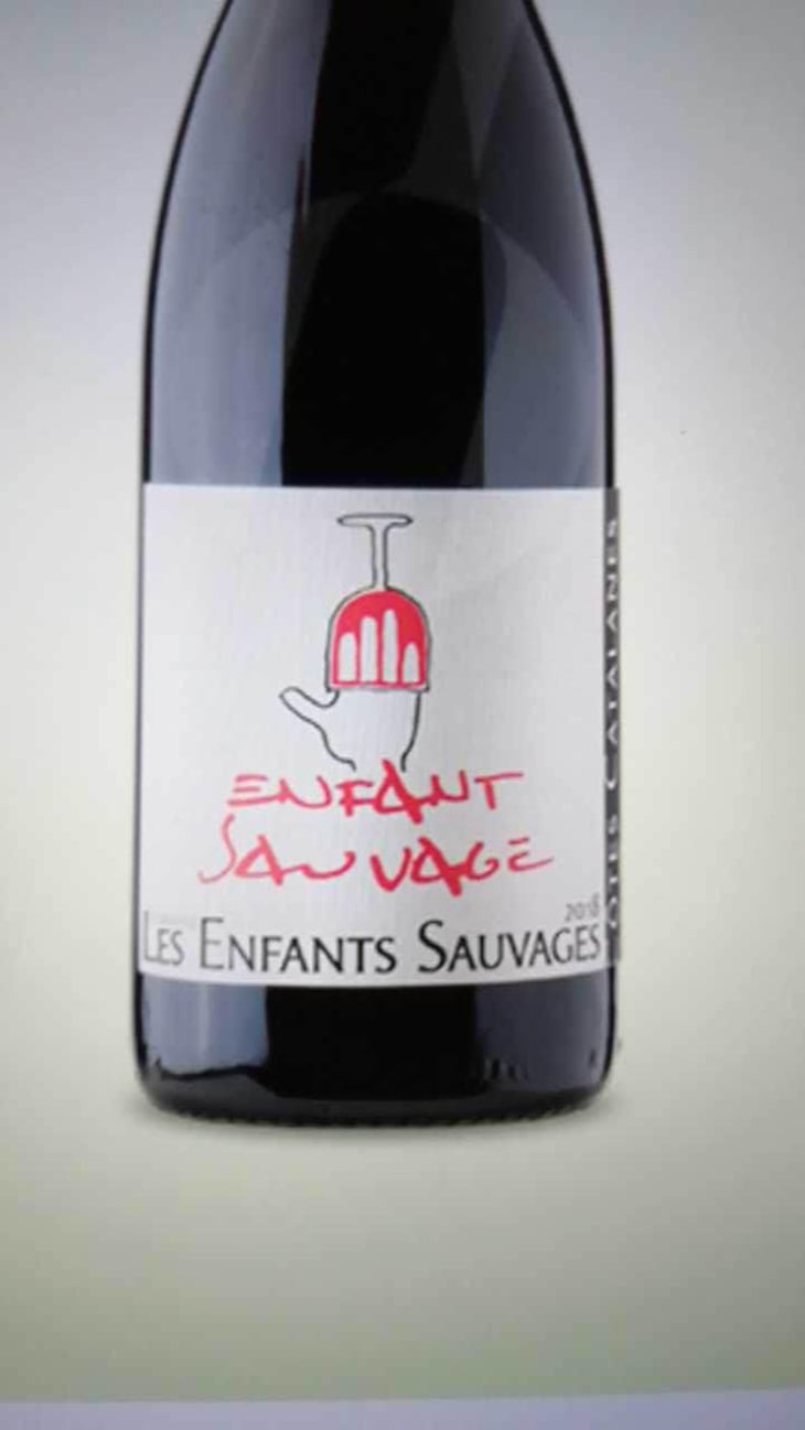 Enfant Sauvage - Les Enfants Sauvages - Nikolaus & Caroline Bantlin 
