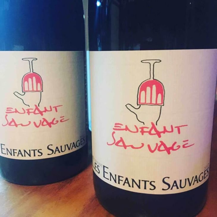 Enfant Sauvage - Les Enfants Sauvages - Nikolaus & Caroline Bantlin 