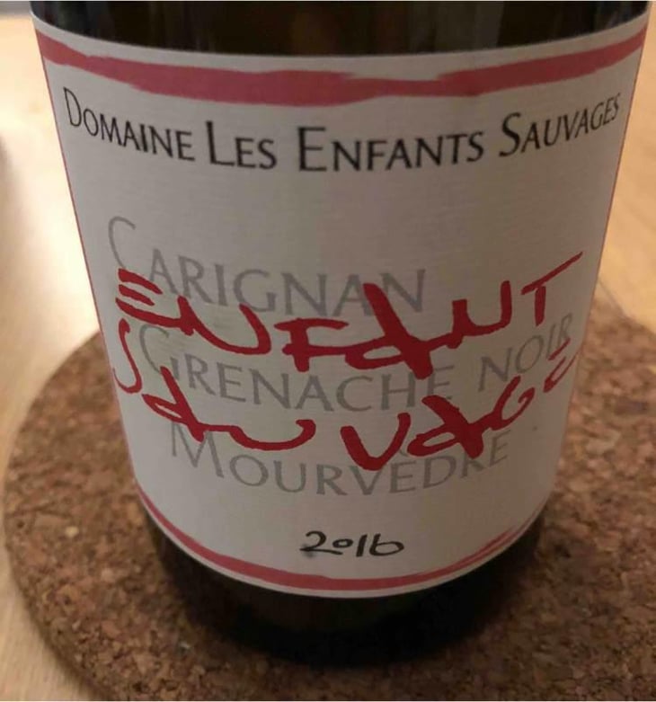 Enfant Sauvage - Les Enfants Sauvages - Nikolaus & Caroline Bantlin 