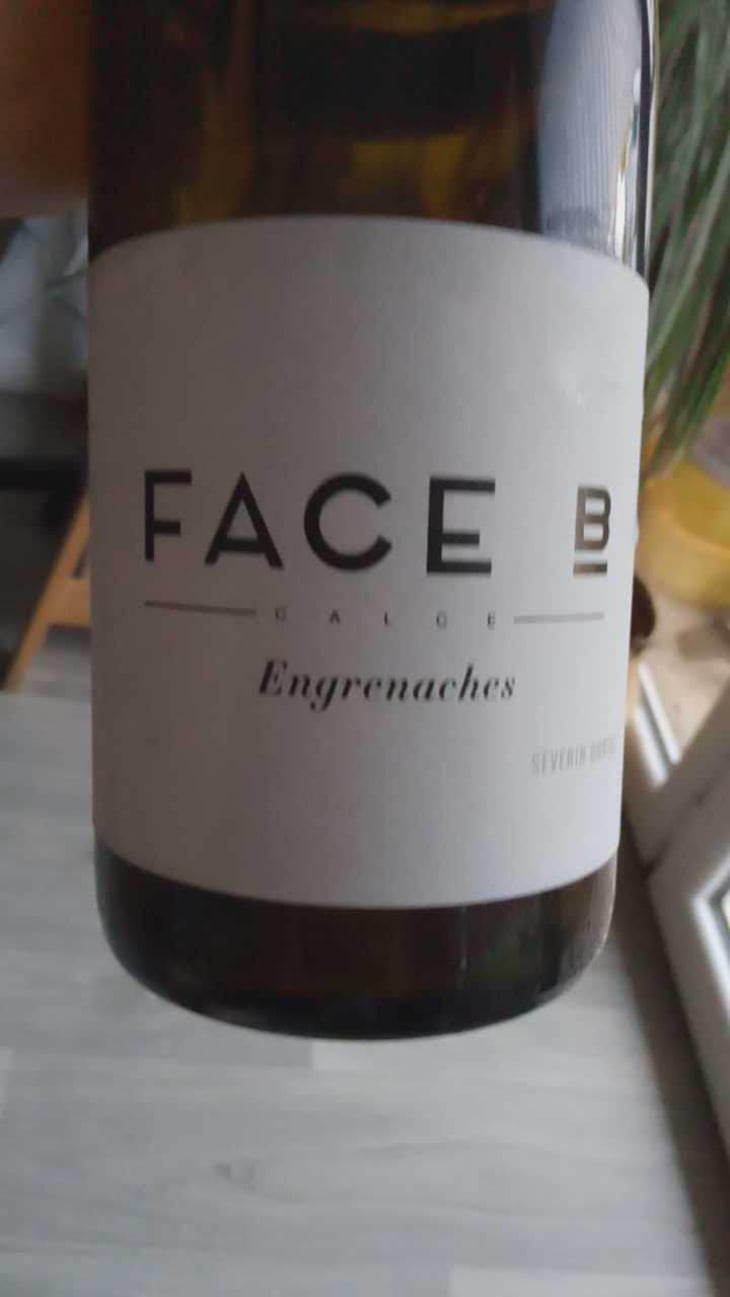 Engrenaches - Face B - Séverin Barioz & Mathilde Barioz - Ceccon 
