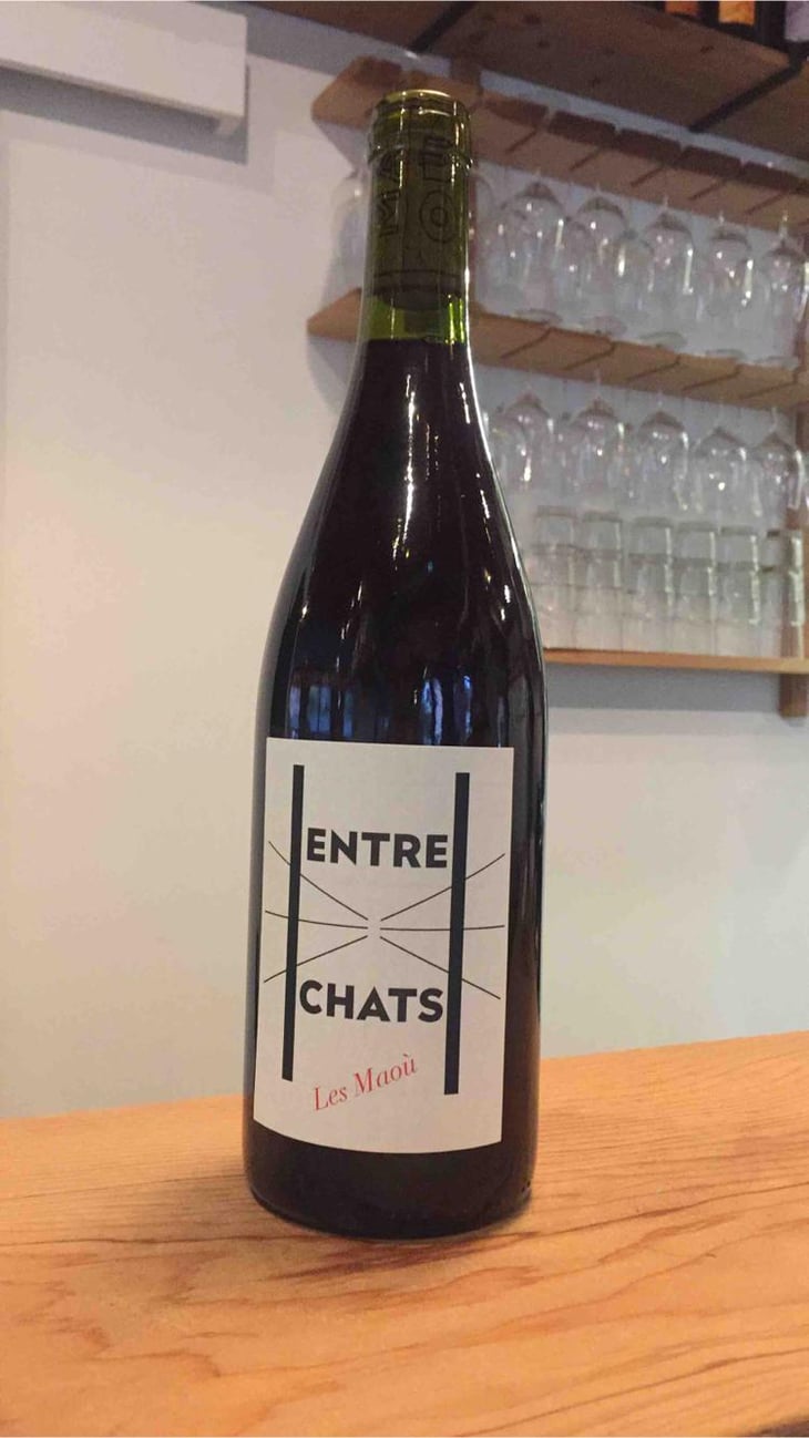 Entre Chats - Les Maoù - Aurélie & Vincent Garreta 