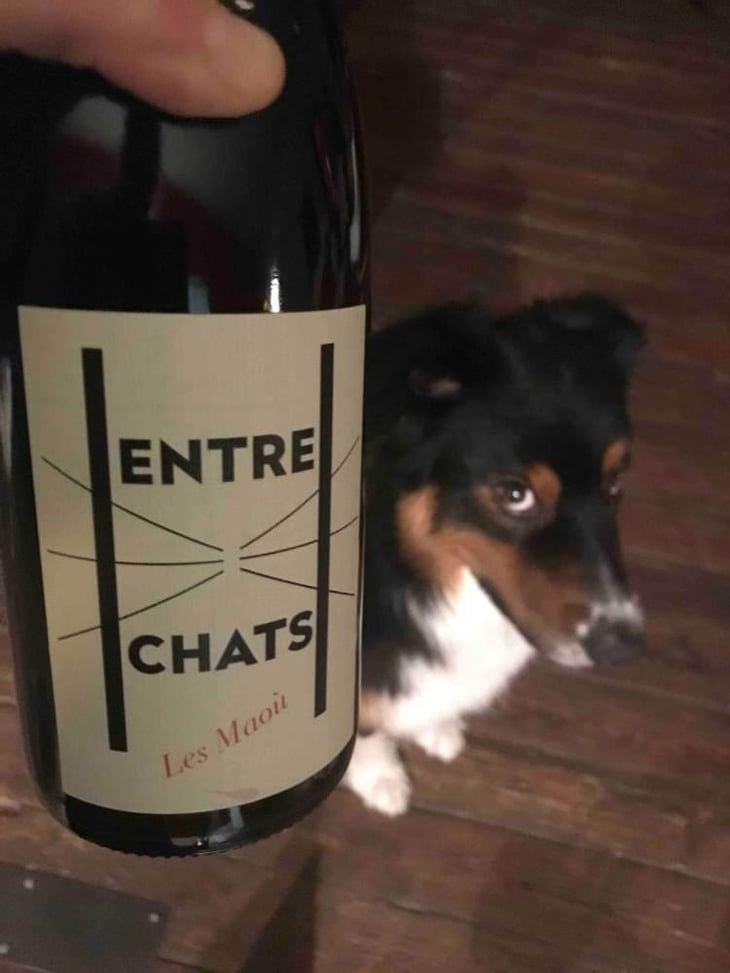 Entre Chats - Les Maoù - Aurélie & Vincent Garreta 