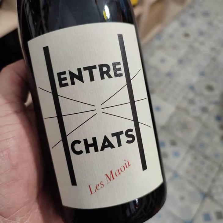 Entre Chats - Les Maoù - Aurélie & Vincent Garreta 