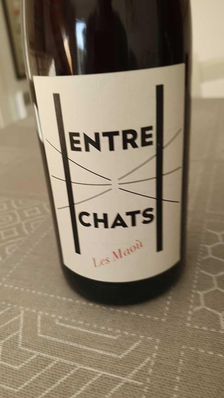 Entre Chats - Les Maoù - Aurélie & Vincent Garreta 