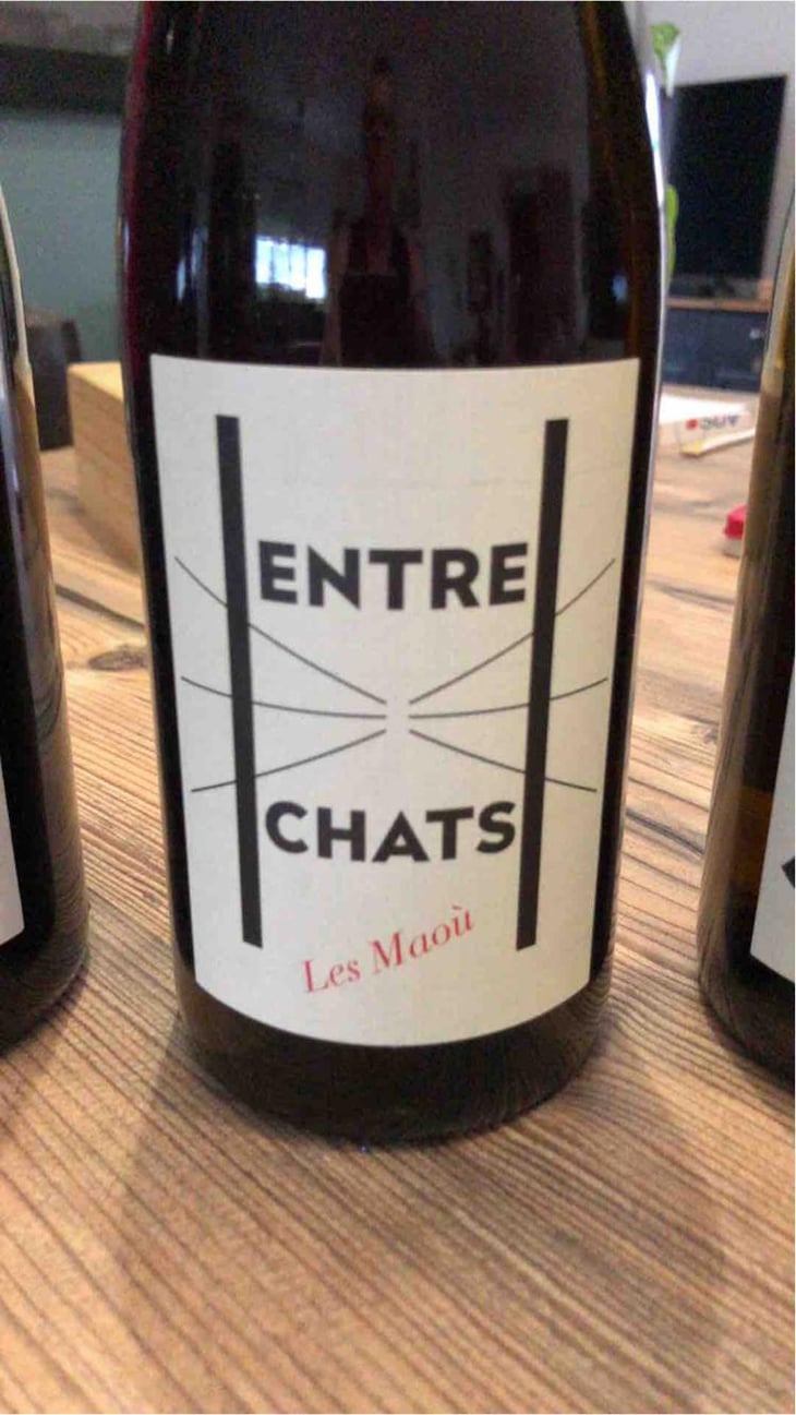 Entre Chats - Les Maoù - Aurélie & Vincent Garreta 