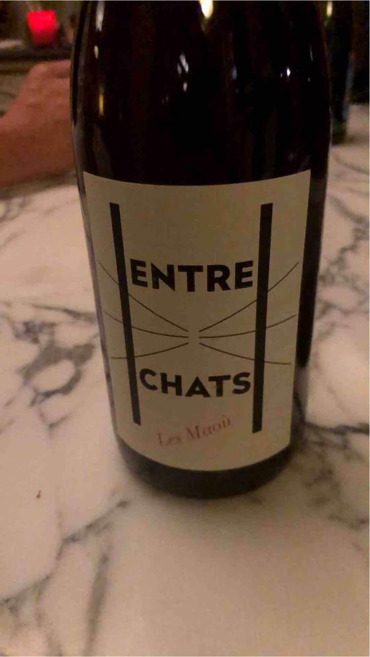 Entre Chats - Les Maoù - Aurélie & Vincent Garreta 