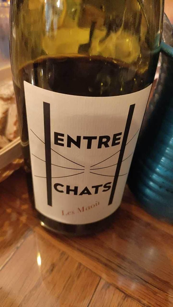Entre Chats - Les Maoù - Aurélie & Vincent Garreta 