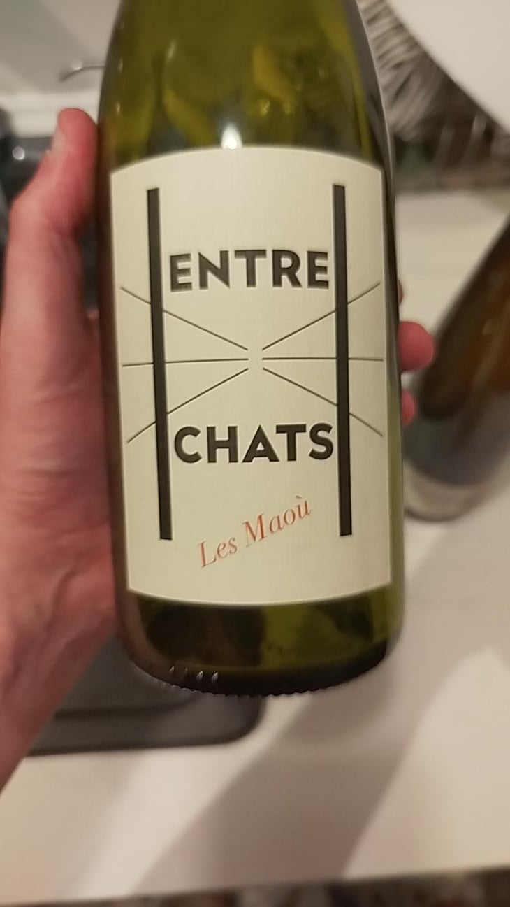 Entre Chats - Les Maoù - Aurélie & Vincent Garreta 