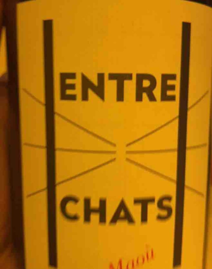Entre Chats - Les Maoù - Aurélie & Vincent Garreta 