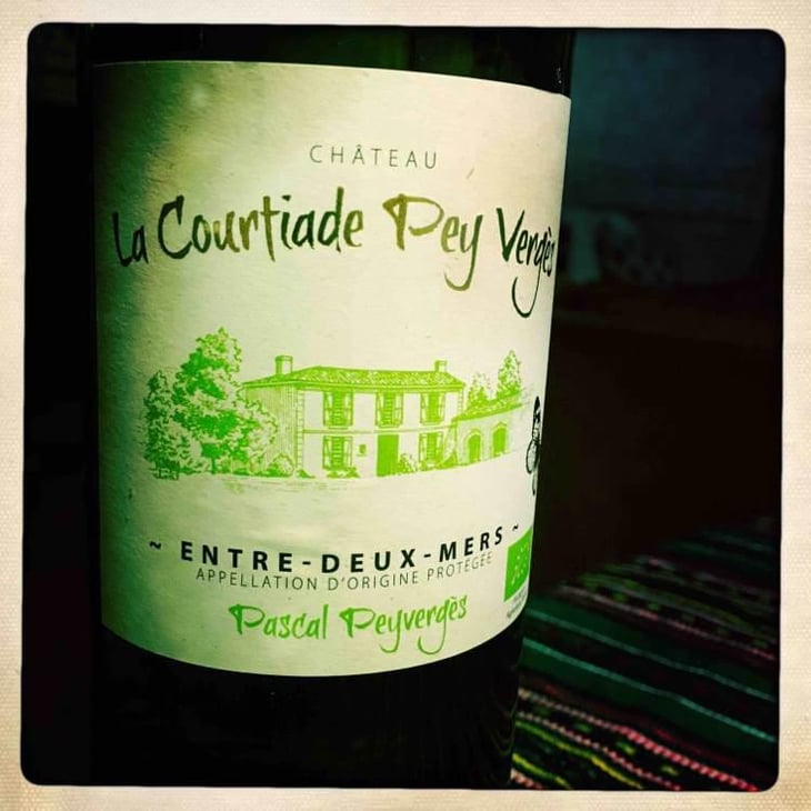 Entre-Deux-Mers - Château La Courtiade Pey Vergès - Pascal Peyvergès 