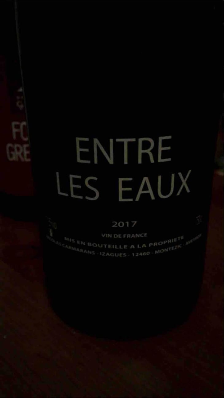 Entre Les Eaux - Nicolas Carmarans - Nicolas Carmarans 