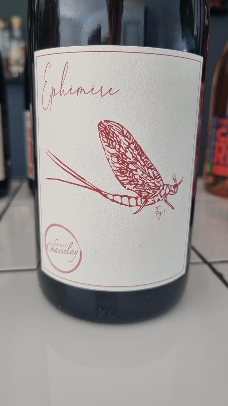 Éphémère Fig1 - Pierres Dorées - Guillaume & J-J PAIRE -2022