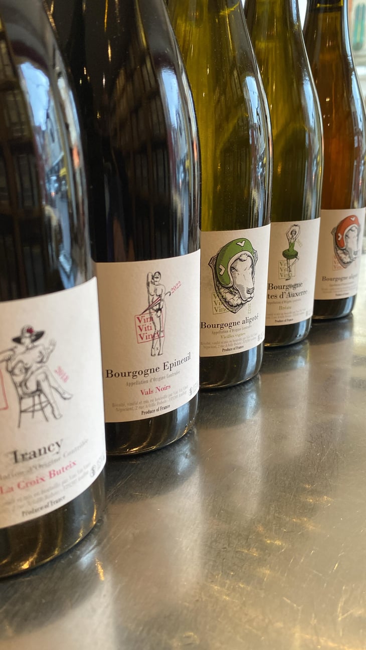 Bourgogne Epineuil "Vals Noir" - Vini Viti Vinci - Nicolas Vauthier "Kikro" 