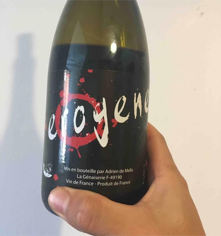 Érogène - Domaine de la Petite Soeur - Adrien de Mello 