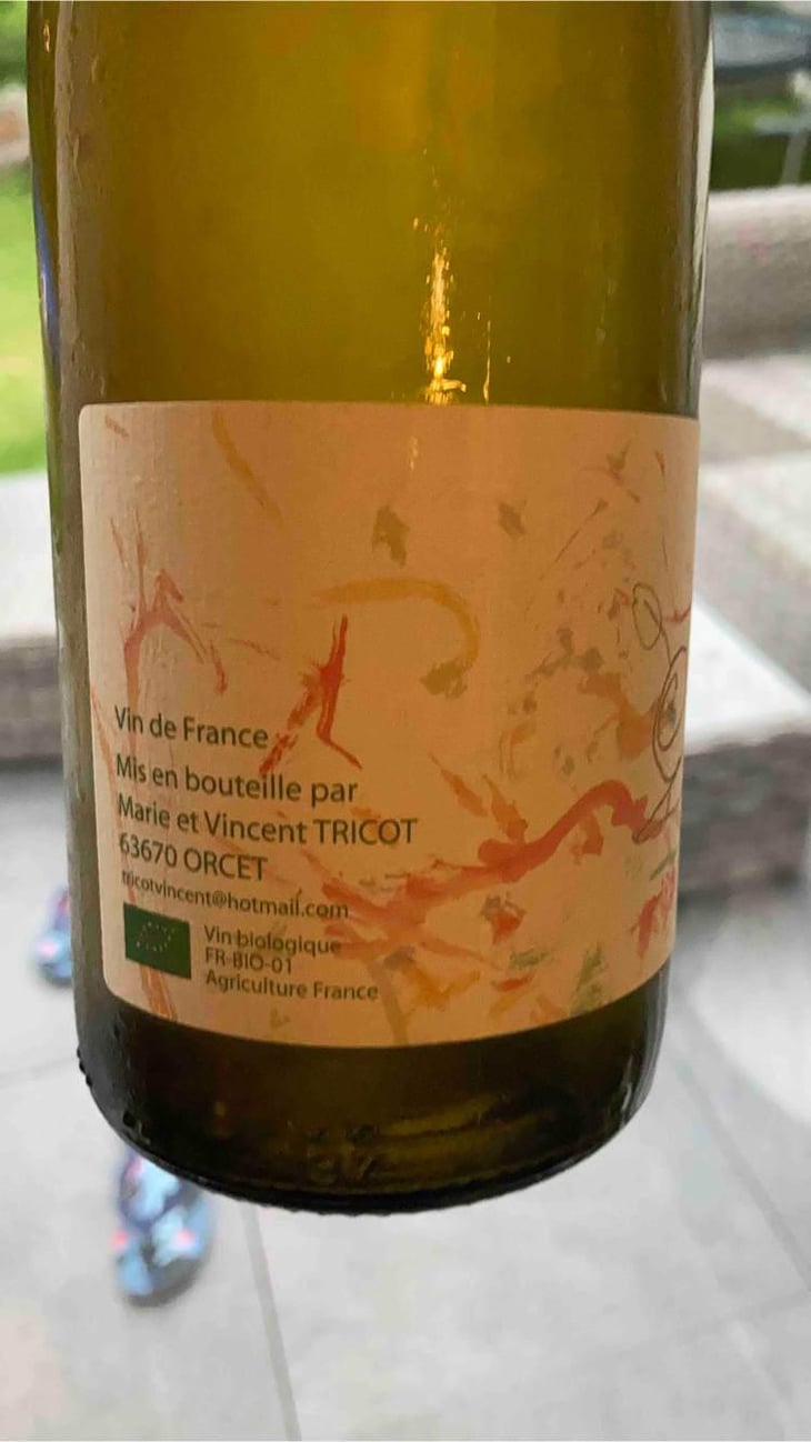 Escargot - Marie et Vincent Tricot - Vincent et Marie Tricot 