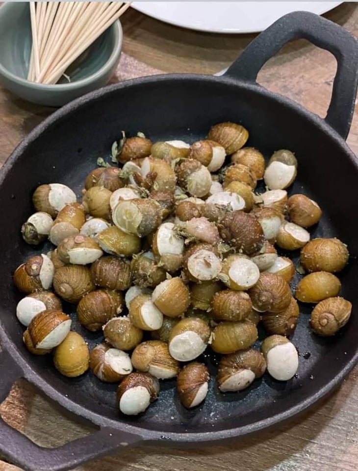Escargots De Sicile - La Pêche à la Vigne - 369394