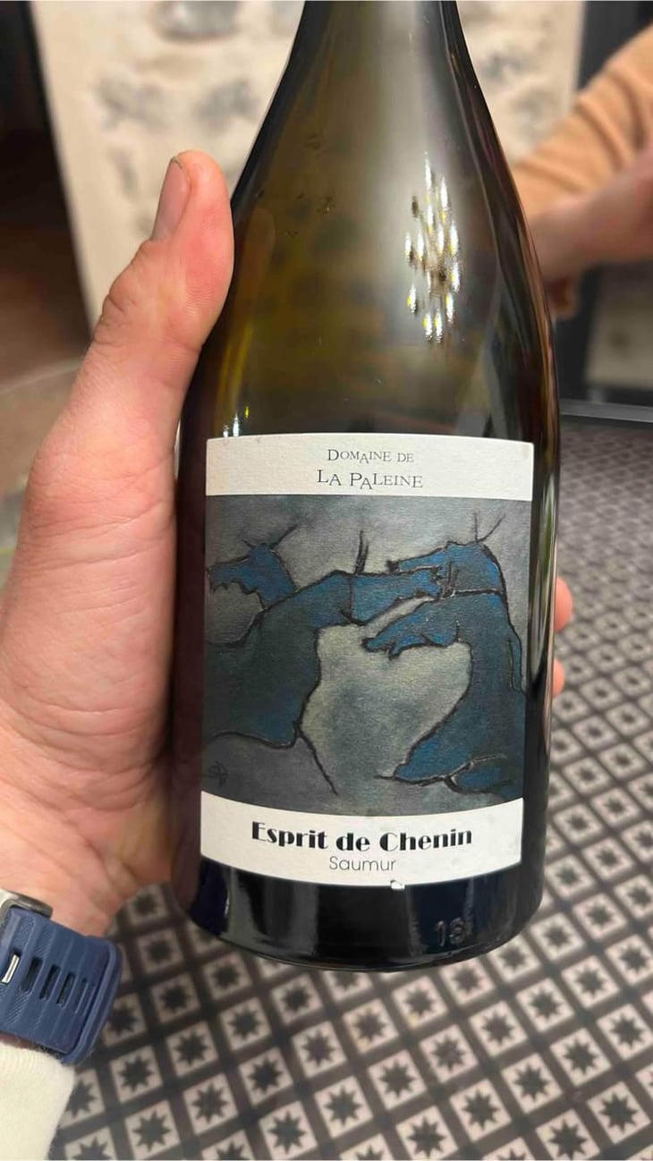 Esprit de Chenin - Domaine De La Paleine - Jean-Louis Bernet (ex Laurence et Marc Vincent) 