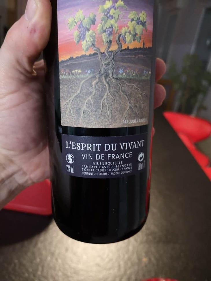 Esprit Du Vivant - Julien Castel - Julien Castel 