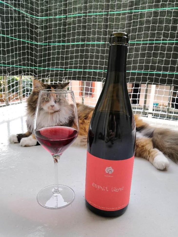 Esprit Libre - Clos des Grillons - Nicolas Renaud 