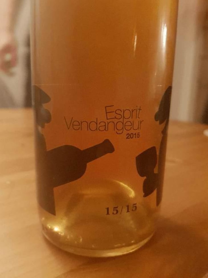 Esprit Vendangeur - Domaine Thuronis - Vigneron Bien Fêteur - Alexandre Coulange & Astrid Lerouxel 