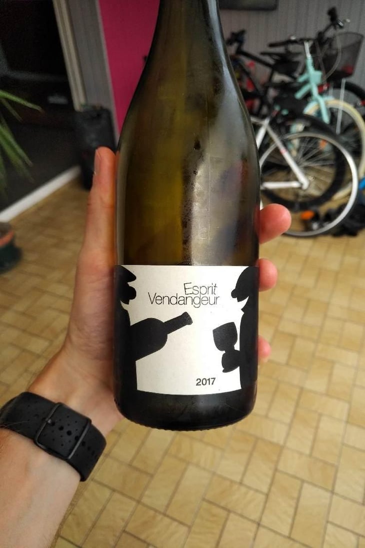 Esprit Vendangeur - Domaine Thuronis - Vigneron Bien Fêteur - Alexandre Coulange & Astrid Lerouxel 