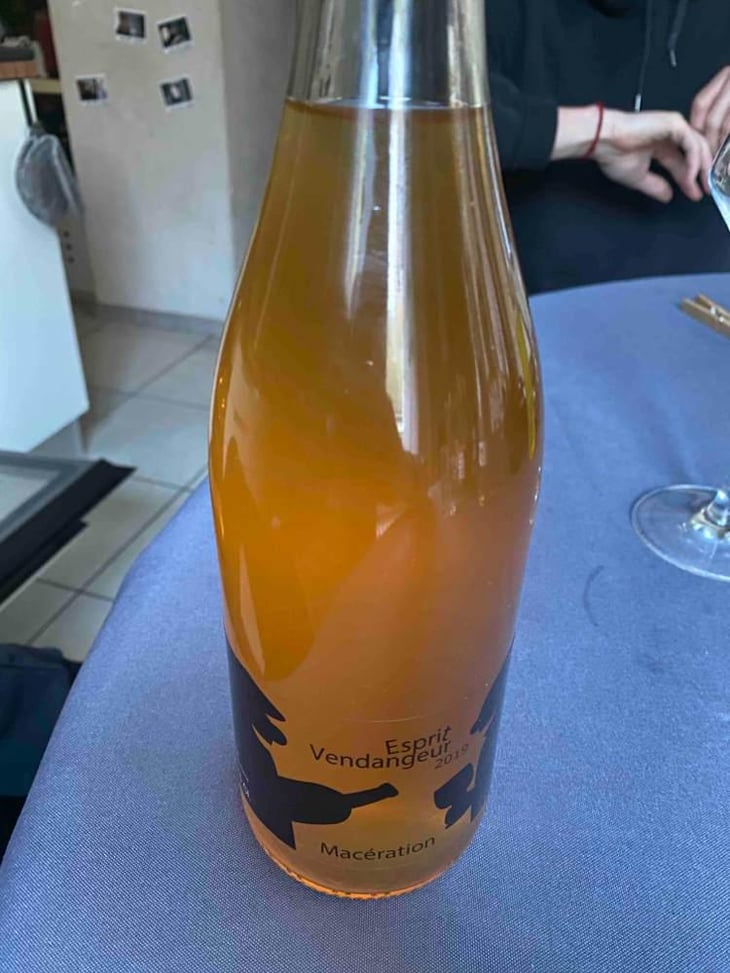 Esprit Vendangeur - Domaine Thuronis - Vigneron Bien Fêteur - Alexandre Coulange & Astrid Lerouxel 