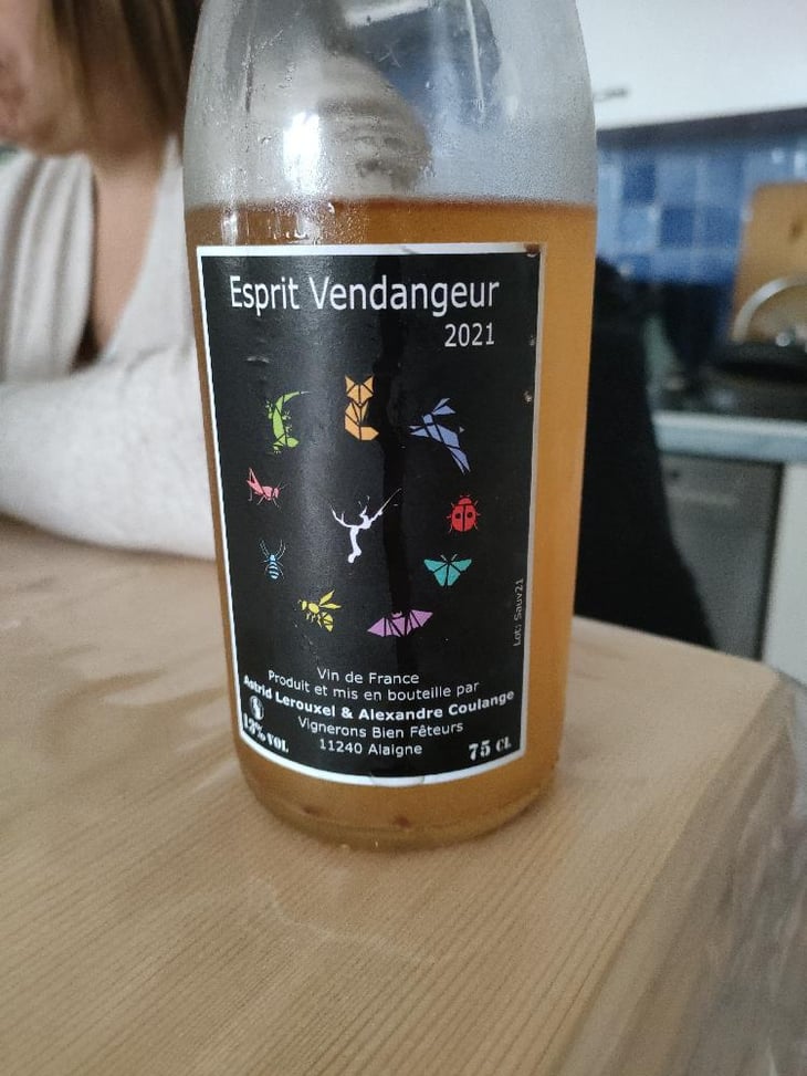 Esprit Vendangeur - Domaine Thuronis - Vigneron Bien Fêteur - Alexandre Coulange & Astrid Lerouxel 