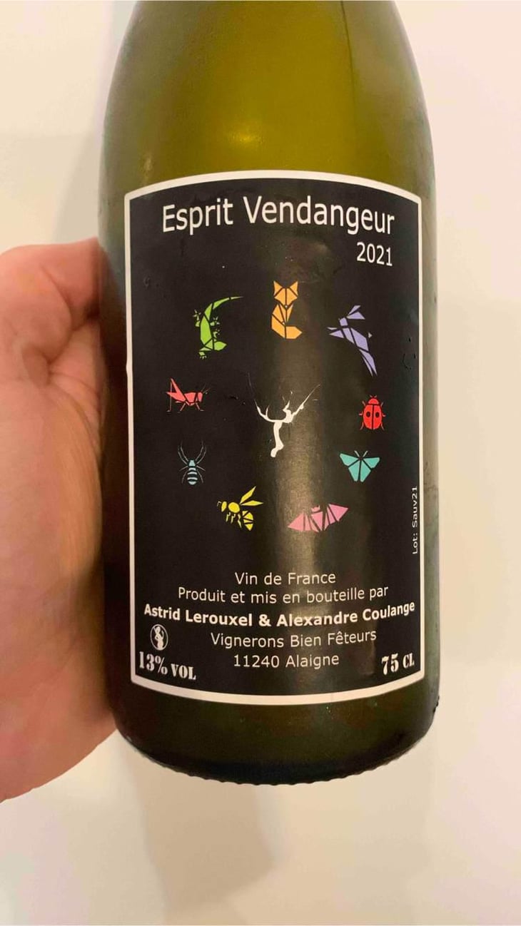 Esprit Vendangeur - Domaine Thuronis - Vigneron Bien Fêteur - Alexandre Coulange & Astrid Lerouxel 