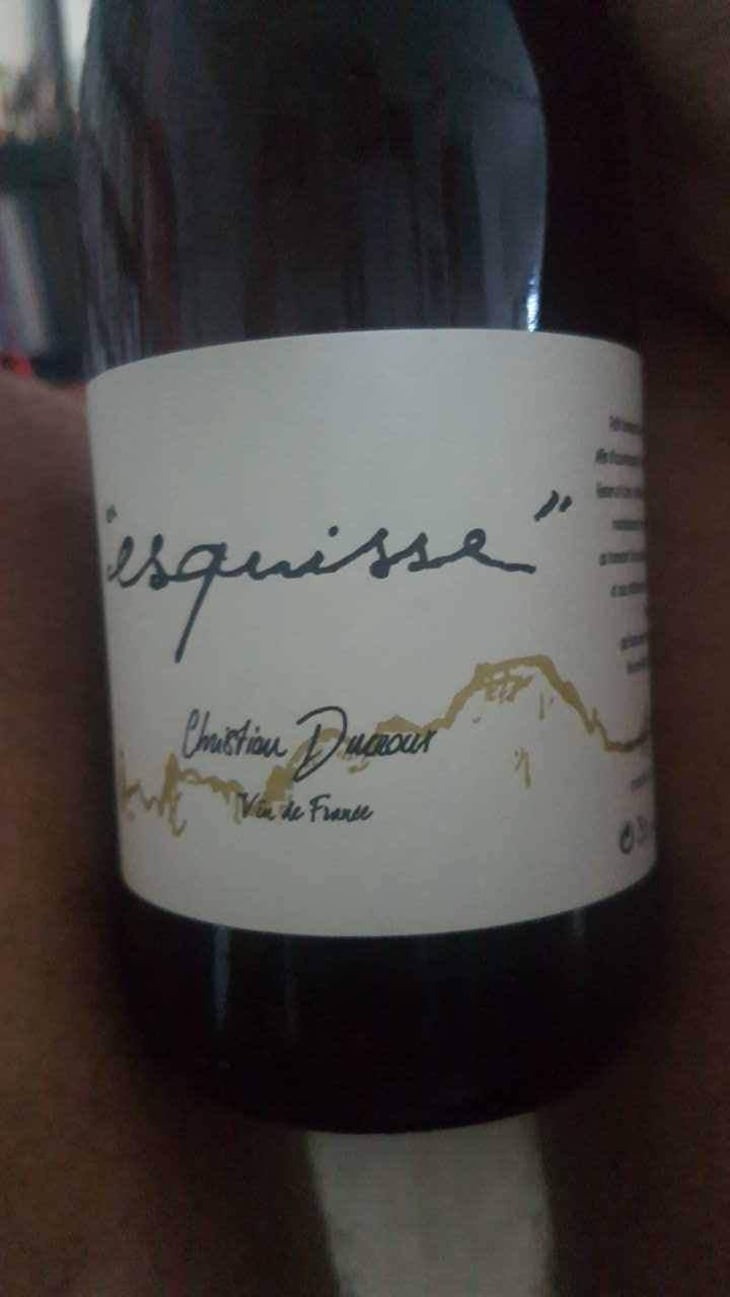 Esquisse - Christian Ducroux - Christian Ducroux 