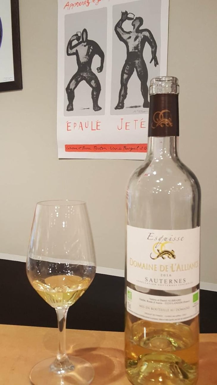 Esquisse - Domaine de l'Alliance - Daniel Alibrand 