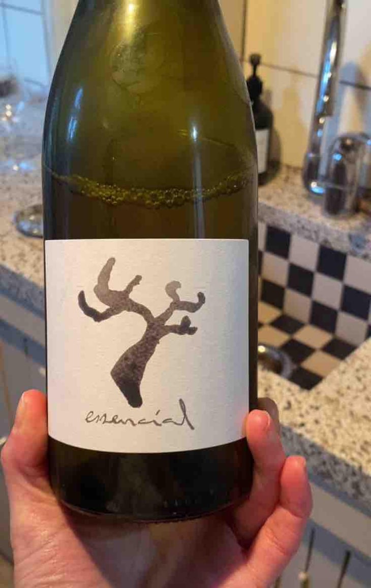 Essencial - Celler Cal Tiques - Joan Rubio 
