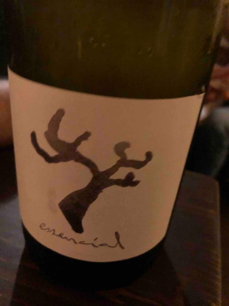 Essencial - Celler Cal Tiques - Joan Rubio 
