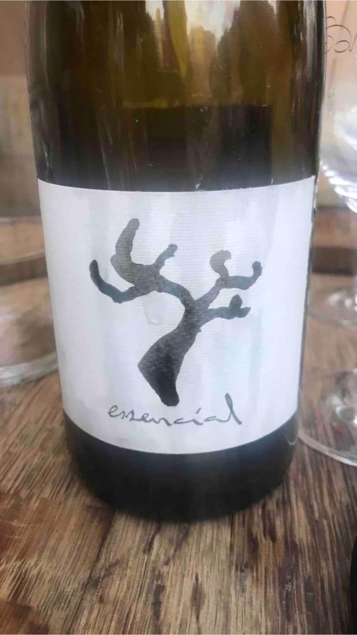 Essencial - Celler Cal Tiques - Joan Rubio 